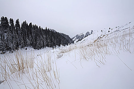 新疆伊犁赛里木湖冬日雪景