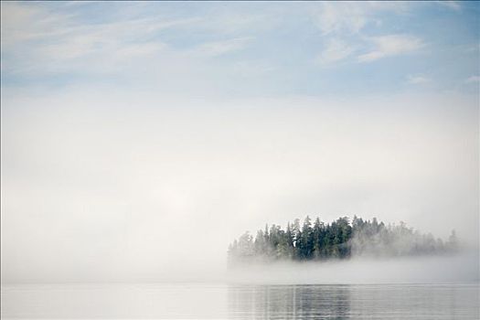 雾状,岛屿