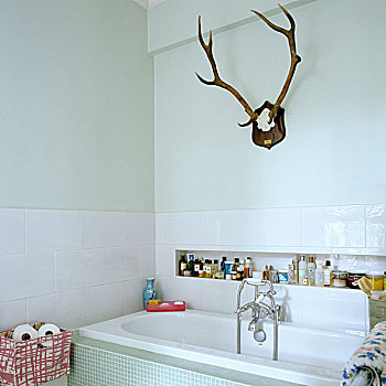 鹿角,白色,浴室,浴缸,洗浴用品