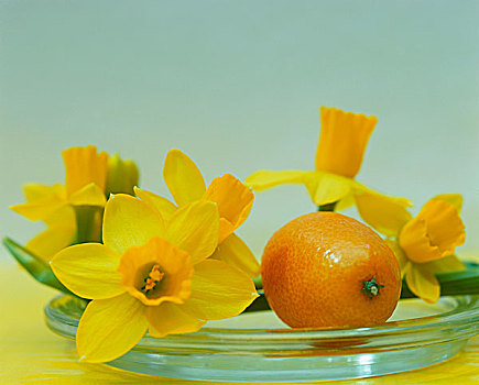 黄色,水仙花,橙子,玻璃碗