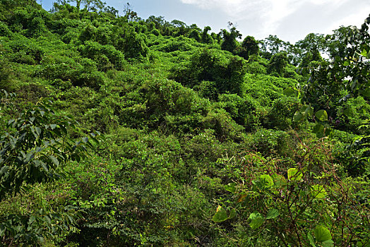 河北省石家庄平山县藤龙山风景区