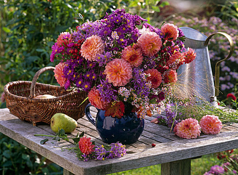 秋季花束,大丽花,紫苑属,冬乌头