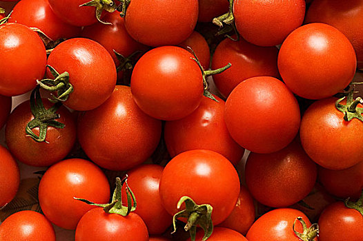 红色,西红柿,罐,背景