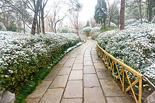 济南五龙潭雪景