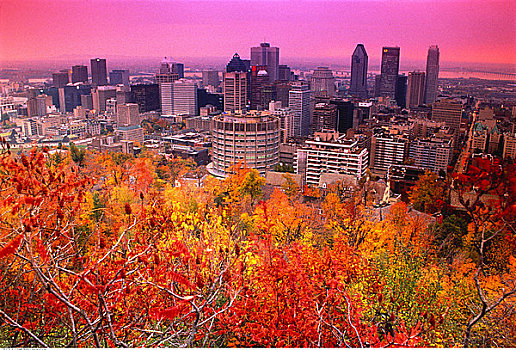 城市天际线,蒙特利尔,魁北克,加拿大