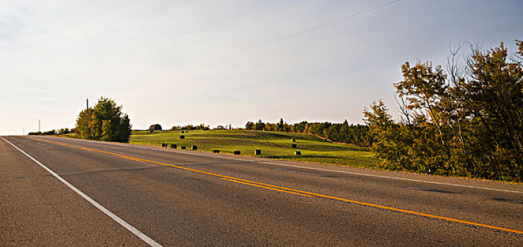 公路,农田,干草包,靠近,埃德蒙顿,艾伯塔省,加拿大