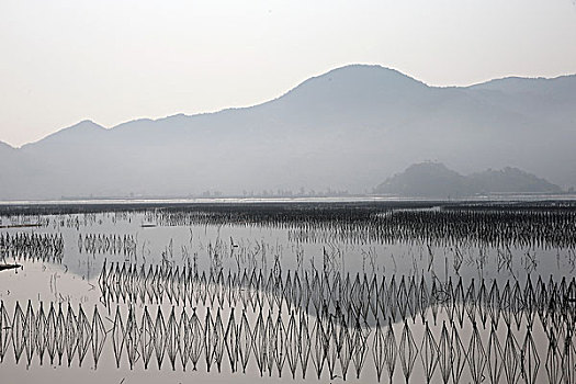 福建福鼎清晨远山海景