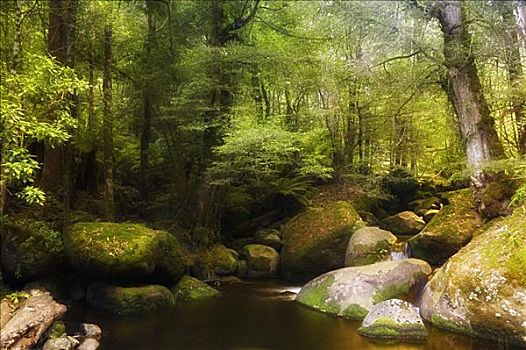 河流,亚拉山国家公园,维多利亚,澳大利亚