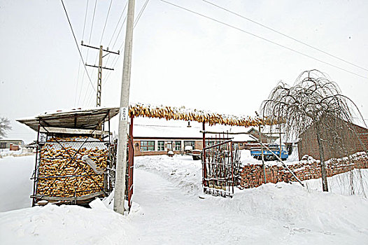 吉林农家院雪景