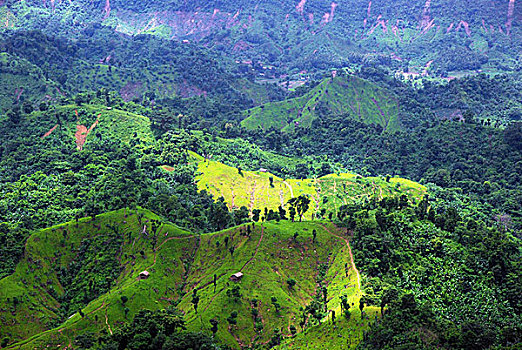 风景,一个,山,孟加拉,七月,2008年