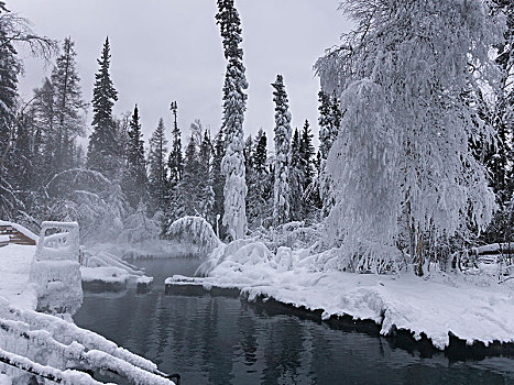 水塘,积雪,公园,河,温泉,省立公园,北方,落基山脉,地区性,市区,不列颠哥伦比亚省,加拿大