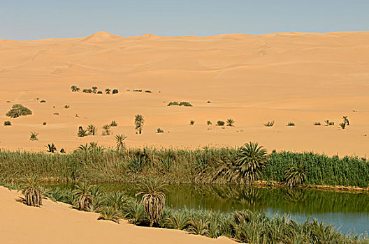 湖,撒哈拉沙漠,费赞,利比亚