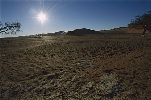 太阳,烘制,干燥,裂土,纳米布沙漠,纳米比亚