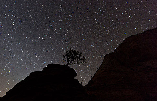 砂岩构造,夜晚,锡安国家公园,犹他,美国
