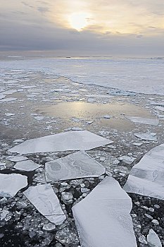 浮冰,威德尔海,南极半岛,南极