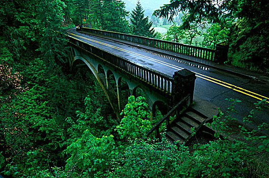 公路,通过,树林,历史,州立公园,哥伦比亚河峡谷国家风景区,俄勒冈,美国