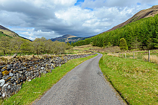 苏格兰,一个,道路,春天,河,英国