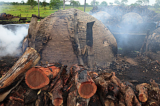 木碳,窑,树林,一个,威胁,潘塔纳尔,巴西