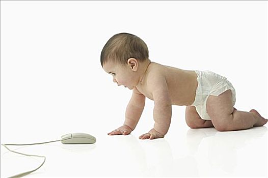 婴儿,电脑鼠标