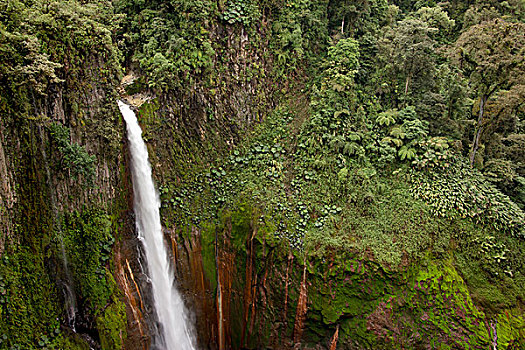 瀑布,雾林,哥斯达黎加