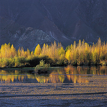西藏拉萨风景
