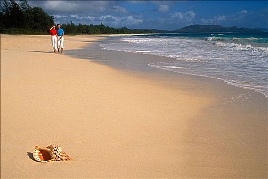 夏威夷,伴侣,走,海滩,壳,沙子