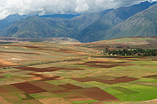 绿色,褐色,土地,山谷,圣谷,秘鲁