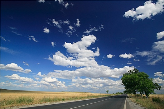 夏天,道路