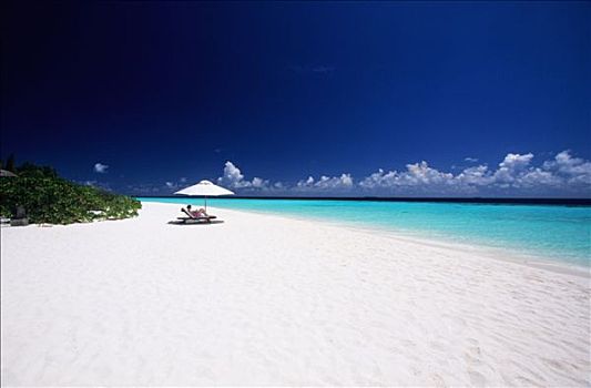 马尔代夫,阿里环礁,酒店,自然,沙滩