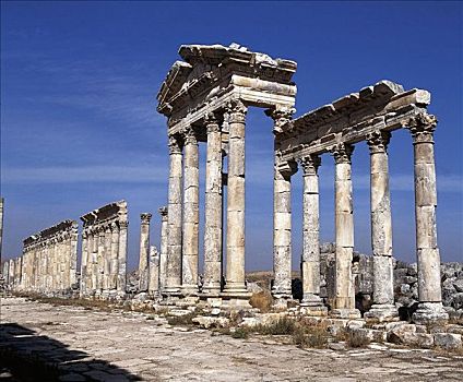 柱子,古老,发掘场,阿帕米亚,叙利亚,中东,东方