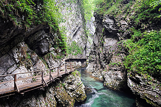 木板路,上方,水道,河,峡谷,斯洛文尼亚,欧洲