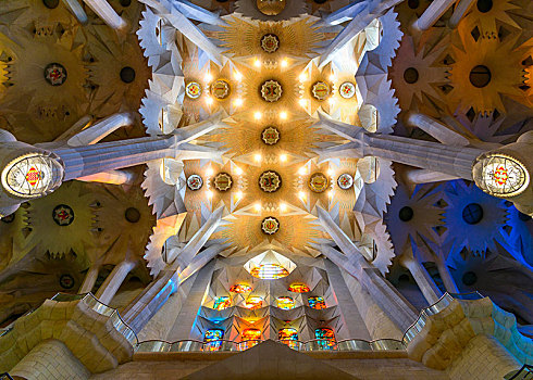 内景,天花板,拱顶,神圣家族教堂,安东尼奥-高迪,巴塞罗那,加泰罗尼亚,西班牙,欧洲