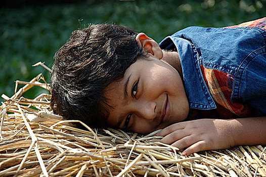 男孩,卧,干草堆,孟加拉,十二月,2008年
