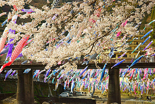 温泉,鲤帜,节日,熊本,日本