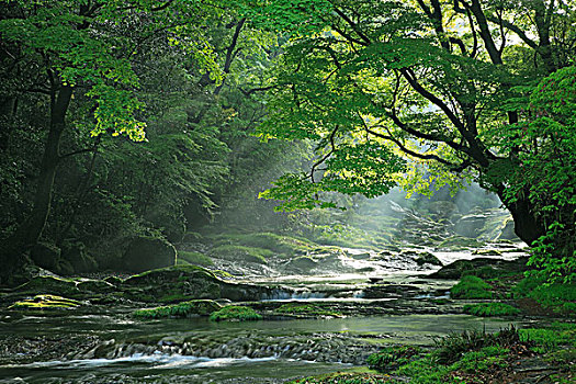 山川,嫩绿色,亮光,山谷