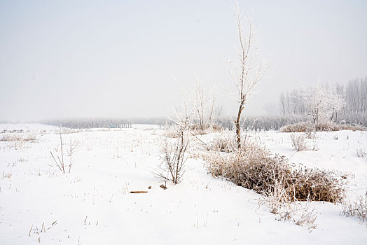 乡村雪景