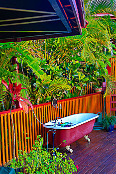 户外,浴缸,斐济