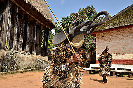 传统,跳舞,宫殿,一个,喀麦隆,靠近,北方,西部,中非,非洲