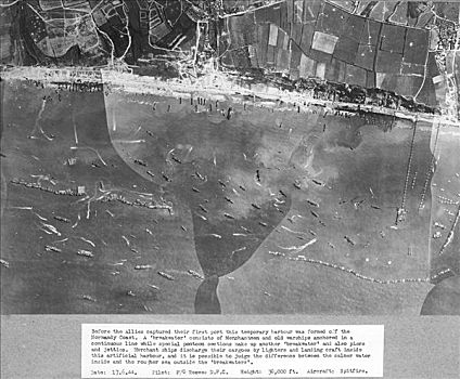 桑葚,海滩,法国,二战反攻日,二战,六月
