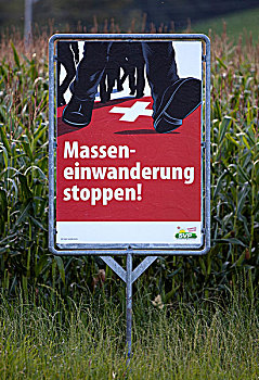 选举,海报,德国,大量,政策,瑞士
