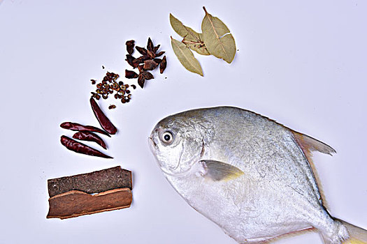 金鲳鱼创意摄影,鱼和调料品