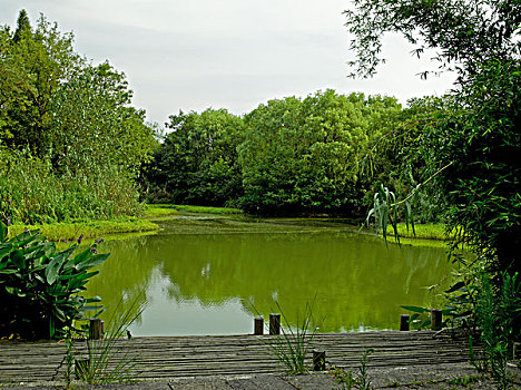 杭州西溪湿地