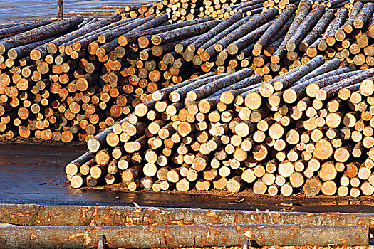 木材,工厂,原木,堆