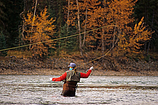 飞钓,河,不列颠哥伦比亚省,加拿大