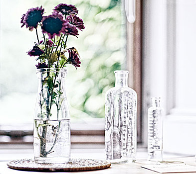 逆光,玻璃瓶,窗台,一个,水,小,束,紫花