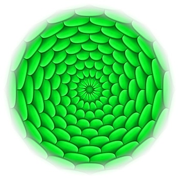 圆,房瓦,图案,绿色