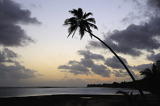 海滩,拉罗汤加岛,库克群岛,南太平洋