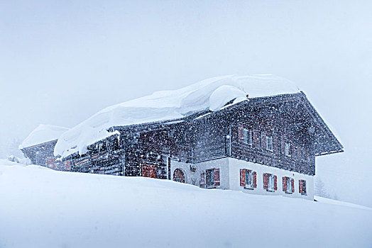 奥地利,蒙塔丰,积雪,滑雪小屋
