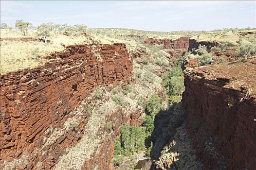 红色,峡谷,卡瑞吉尼国家公园,区域,西澳大利亚