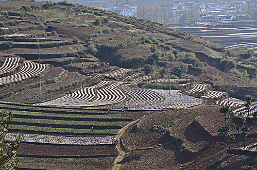 威宁,风光,田园,公路,山脉,天空,高海拔,云贵高原,民居,美景,春季